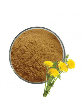 Dr-Angels-Dandelion-50gr