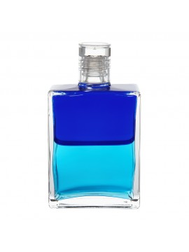 Dolphin-Bottle-peace-with-a-Purpose-Royal-Blue-Turquoise