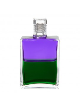 Troubadour-2-Discernment-Violet-Green