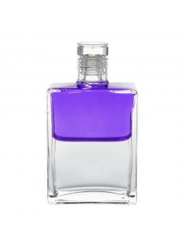 Wings-of-Change-Violet-Clear 