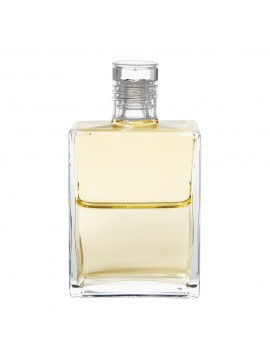 Kuthumi-Pale-Yellow-Pale-Yellow