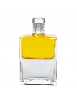 Vision-of-Splendour-Yellow-Clear 