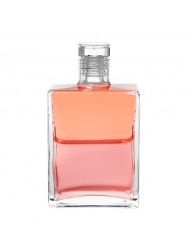 Love-Wisdom-Pale-Coral-Pale-Coral