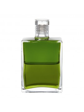 Feminine-Leadership-of-the-Heart-Olive-Olive