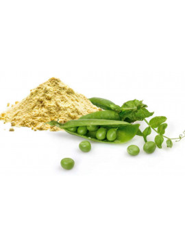 Dr-Angels-Pea-Protein-40gr
