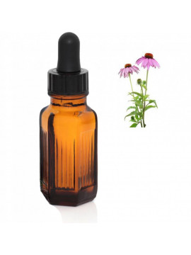 Dr-Angels-Herbal-Tincture-Echinacea-50ml