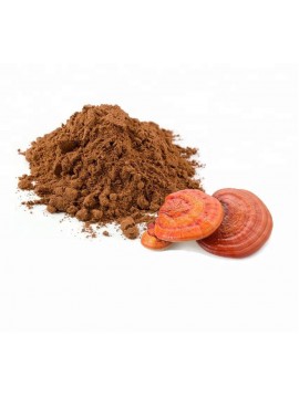 TERRANOVA-Reishi-500mg-50-capsules